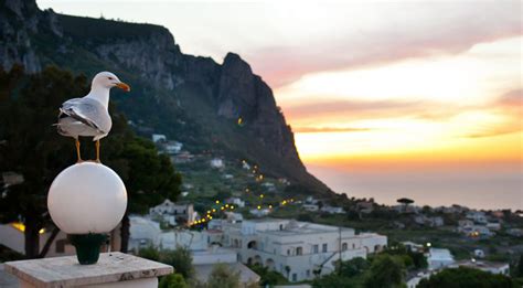 vita notturna capri|Le mille e una notte di Capri: viaggio nella vita。